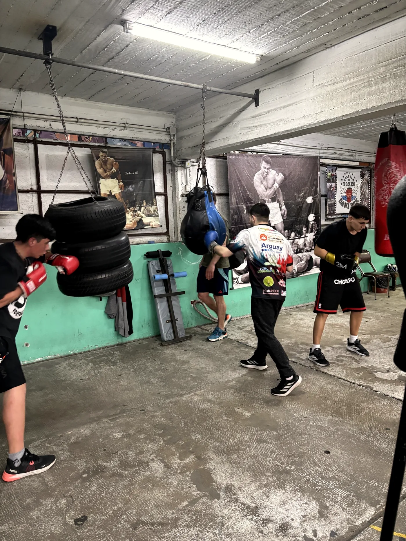 Alumnos entrenando en las bolsas en el gimnasio de Danibox